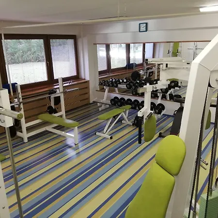 公园酒店 皮耶什佳尼