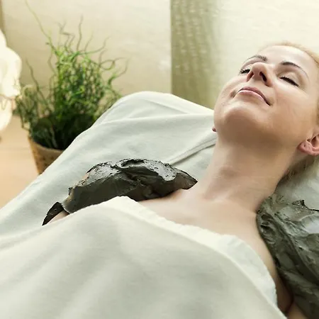 酒店 公园酒店 4*