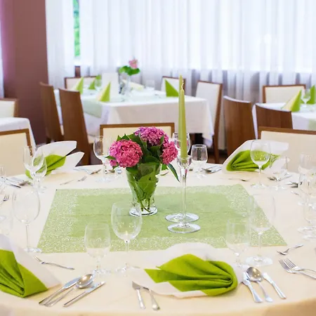 Park Hotel Piest'any